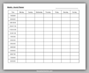 60+ Best Practices Hourly Schedule Template Excel & Word - sample schedule