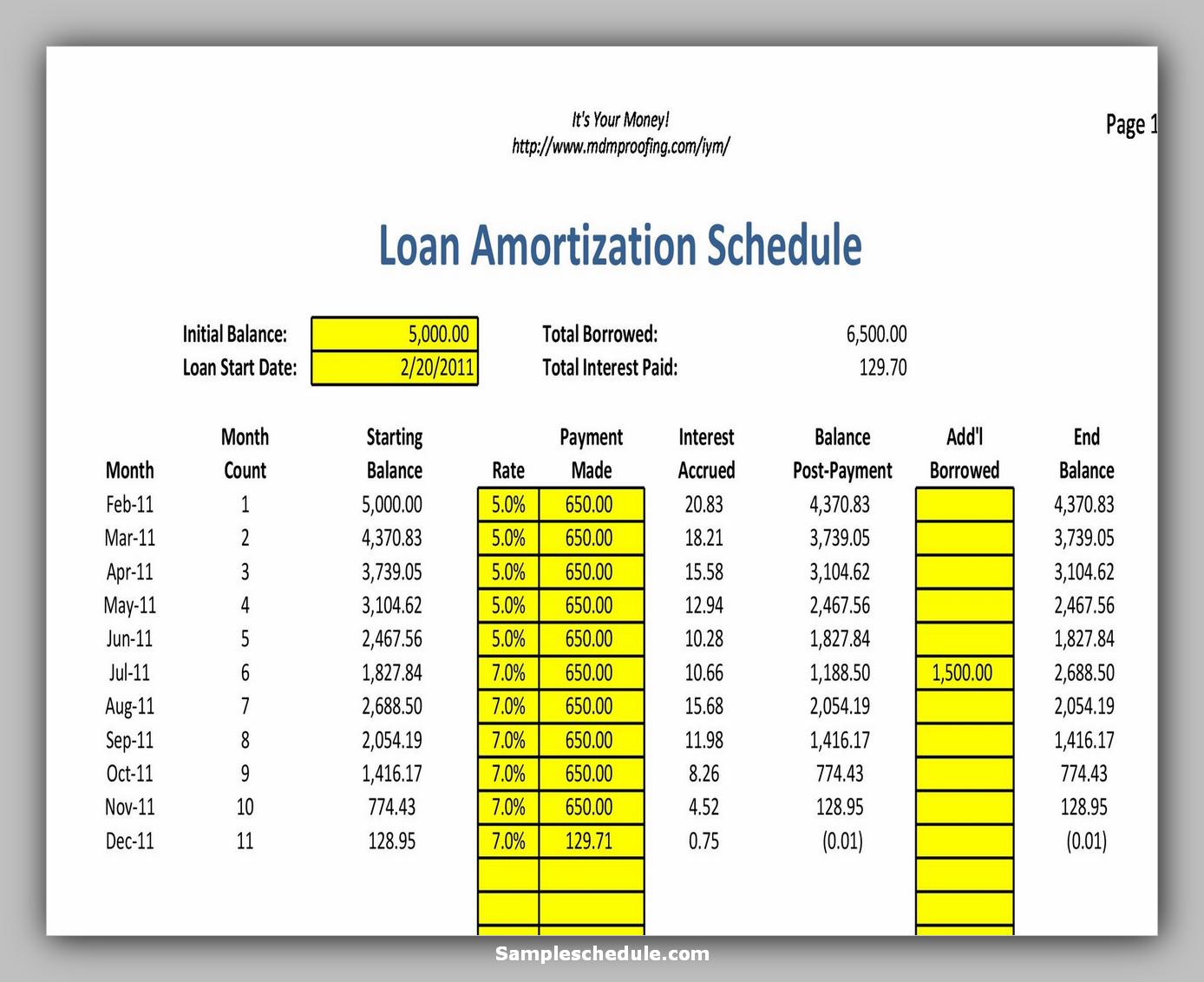 20 Loan Amortization Schedule Excel - sample schedule