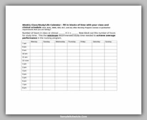 nursing daily schedule planner one patient