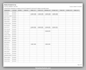 20 Sample Employee Schedule