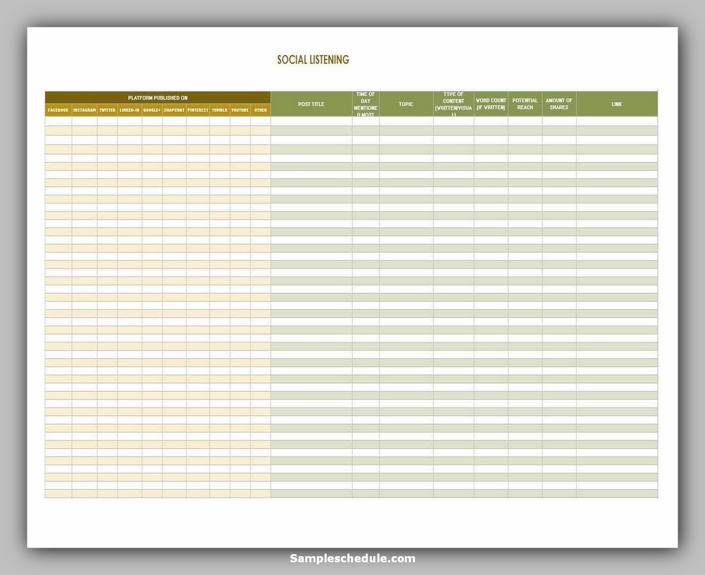 10+ Social Media Schedule Template