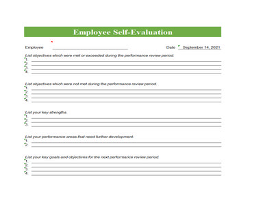 20 Best Examples of Employee Self Evaluation - sample schedule